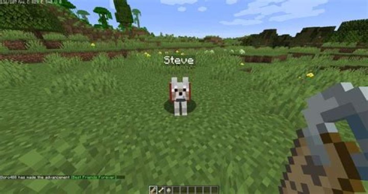 Question: How To Give A Dog A Name Tag Minecraft