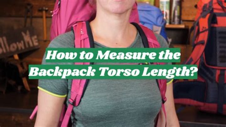 Question: How To Measure Torso Size For Backpack