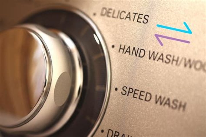 Question: Is Hand Wash The Same As Delicate Cycle