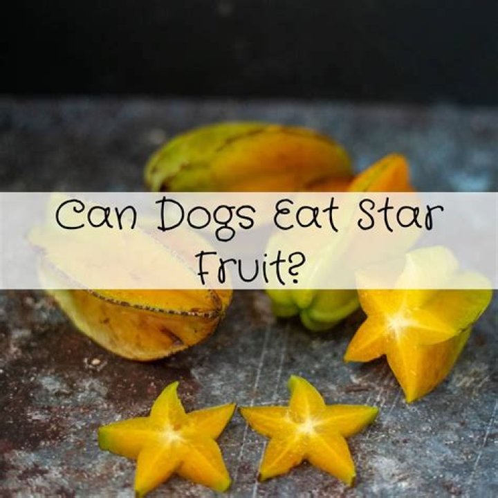 Question: Is Star Fruit Bad For Dogs