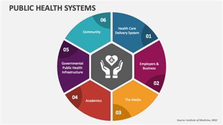 Question: What Began Public Health And Sanitation Systems