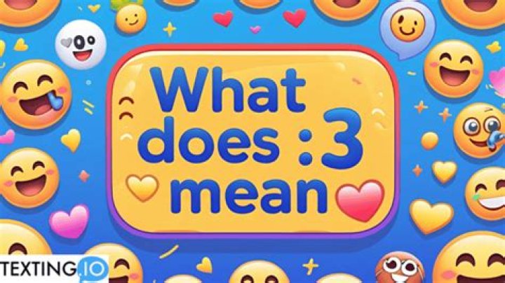 Question: What Does :3 Mean