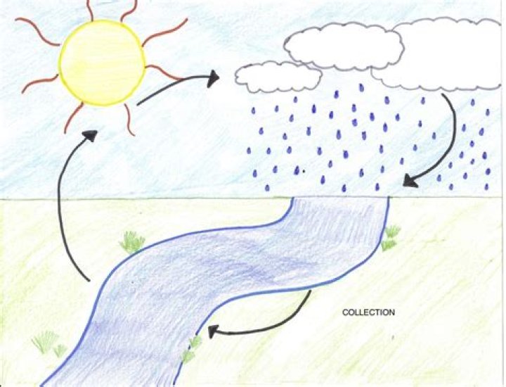 Question: What Does Collection Mean In Water Cycle