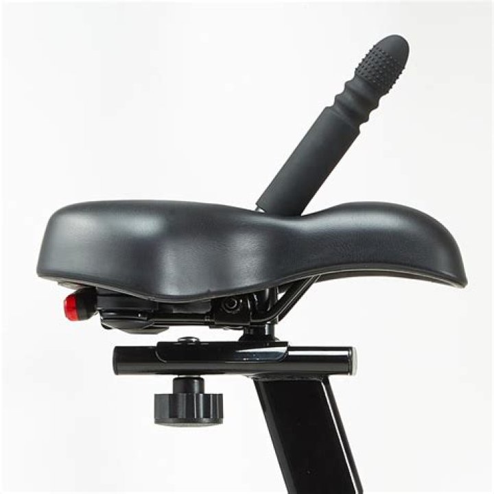 Question: What Is A Sex Bike