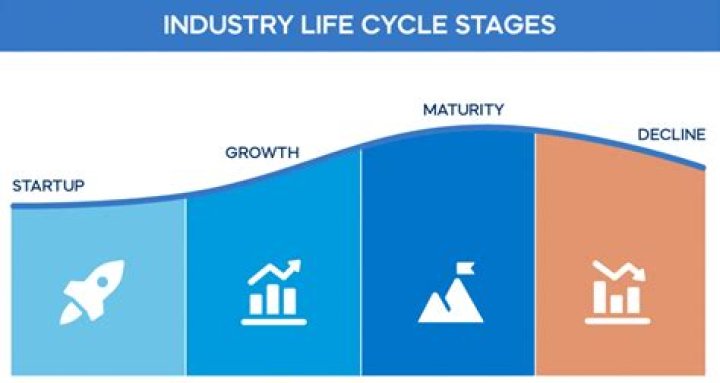 Question: What Is The Correct Order Of The Industry Life Cycle