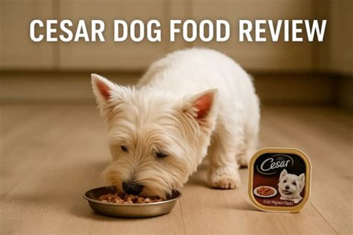 Question: What Kind Of Dog Is On The Cesar Dog Food