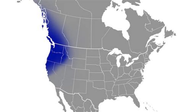 Question: Where Is Pacific Northwest Located