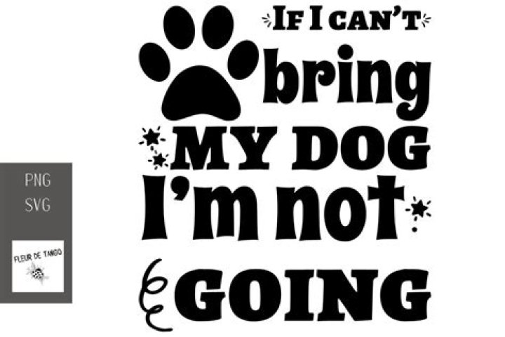 Question: Where To Bring My Dog If I Can’t Keep Him