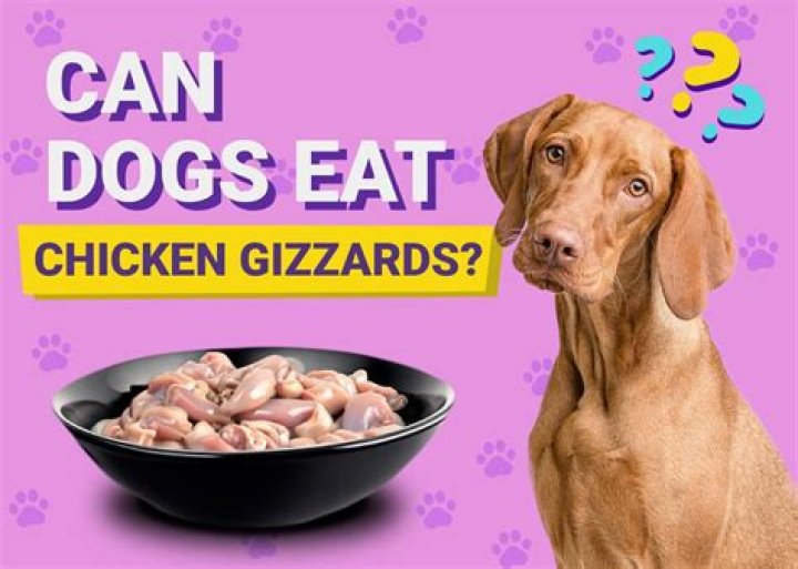 Quick Answer: Are Chicken Gizzards Good For Dogs To Eat