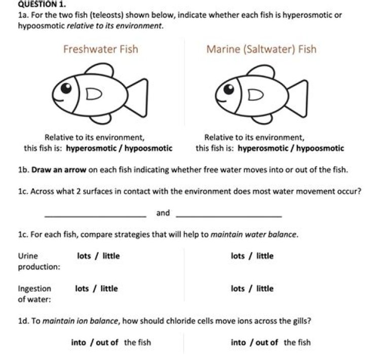 Quick Answer: Are Freshwater Fish Hyperosmotic