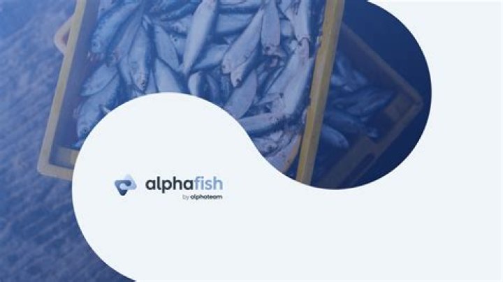 Quick Answer: Are There Alpha Fish