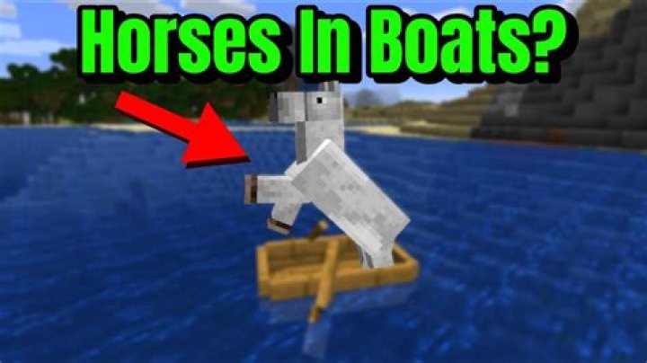 Quick Answer: Can Horses Travel With You Minecraft
