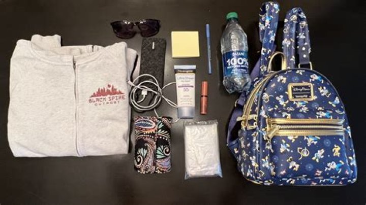 Quick Answer: Can I Wash My Loungefly Backpack