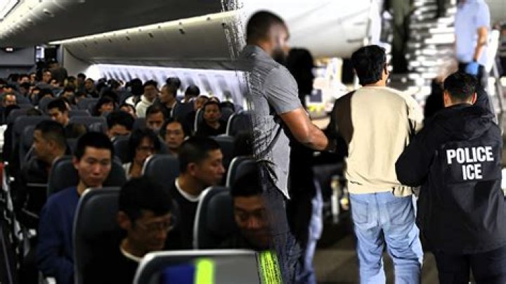 Quick Answer: Can Illegal Immigrants Travel By Plane Domestic