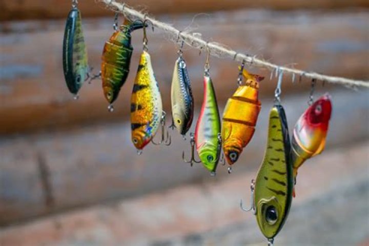 Quick Answer: Can You Use Freshwater Fish As Bait In Saltwater