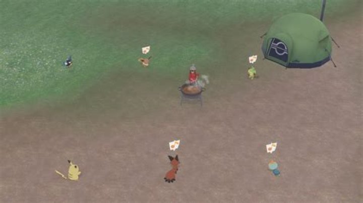 Quick Answer: How Do I Visit My Friend’s Camp In Pokemon Sword