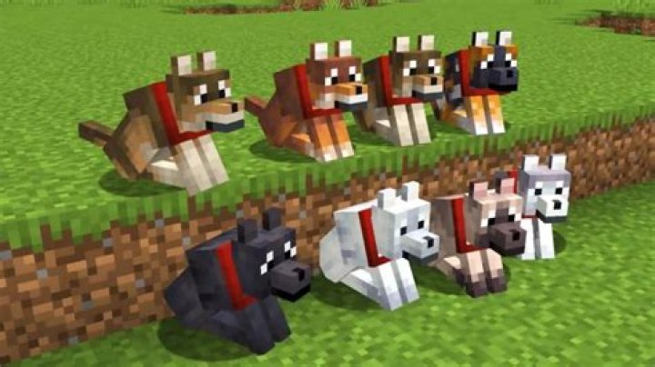 Quick Answer: How Do You Breed Dogs In Minecraft