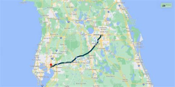 Quick Answer: How Far Is Tampa From Ft Lauderdale Fl