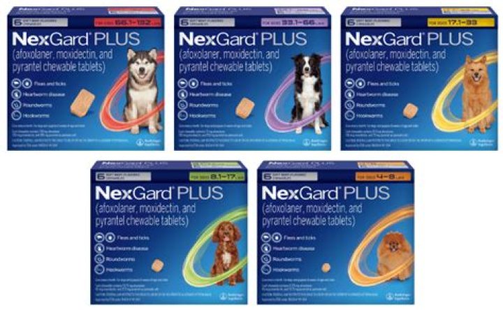 Quick Answer: How Long Does Nexgard Last For Dogs