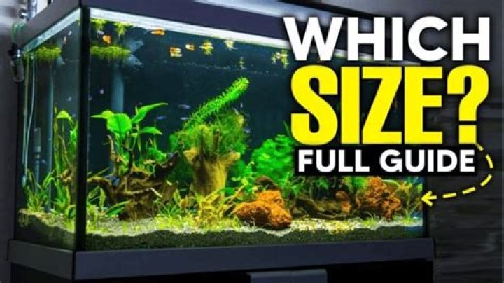 Quick Answer: How Much Is A 25 Gallon Fish Tank