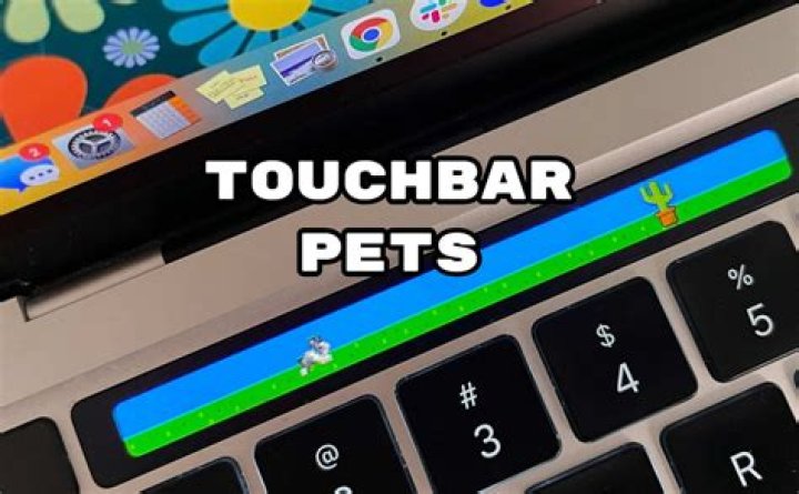 Quick Answer: How To Get Touchbar Pet Health Up