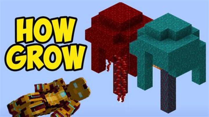 Quick Answer: How To Grow Crimson Fungus