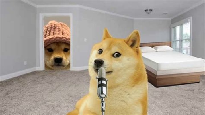 Quick Answer: How To Make Dog Wif Hat