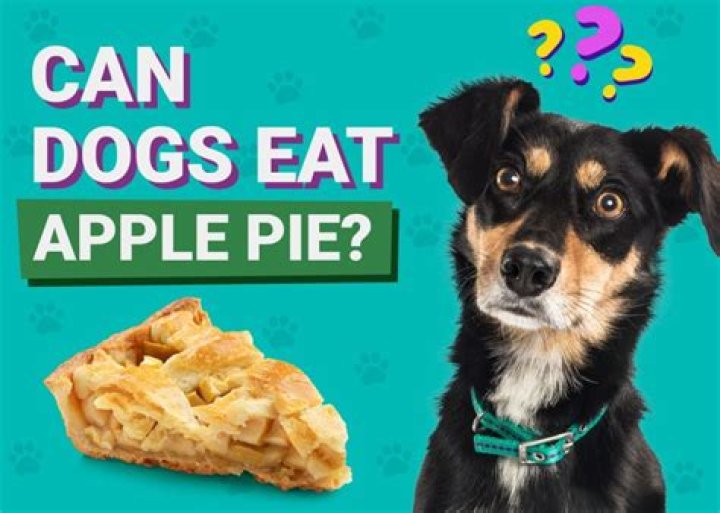 Quick Answer: Is Apple Pie Bad For Dogs