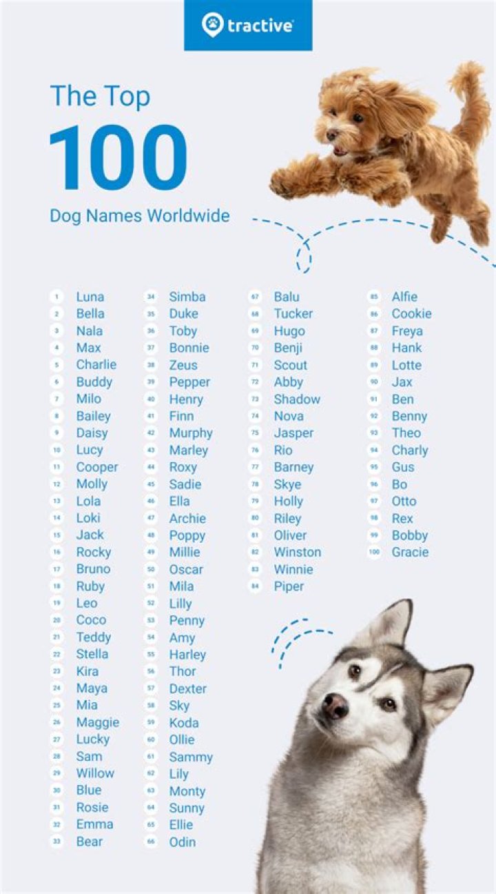 Quick Answer: Is Fizzgig A Good Dog Name