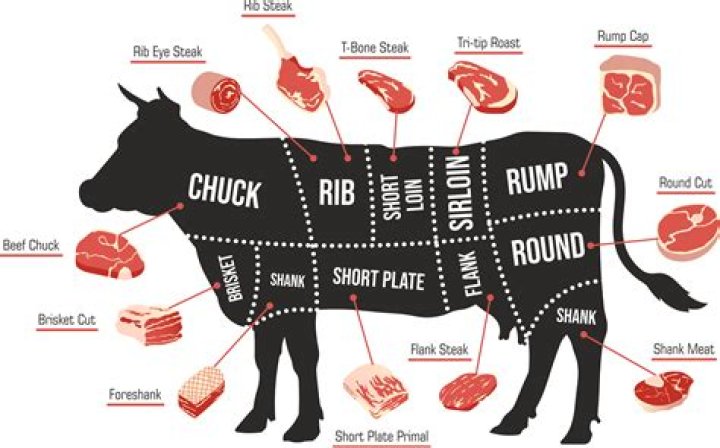Quick Answer: Is Ground Beef Grease Good For Dogs