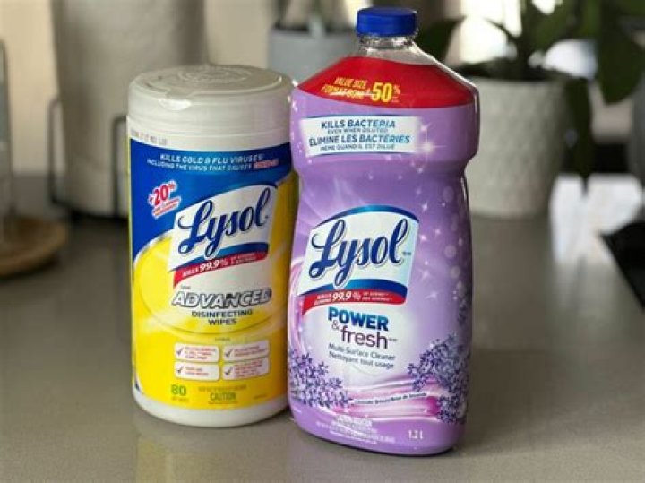 Quick Answer: Is Lysol Spray Bad For Dogs