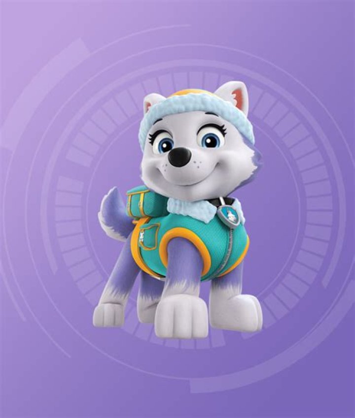 Quick Answer: Is Paw Patrol Everest A Cat Or Dog