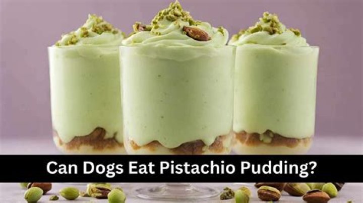 Quick Answer: Is Pistachio Pudding Bad For Dogs