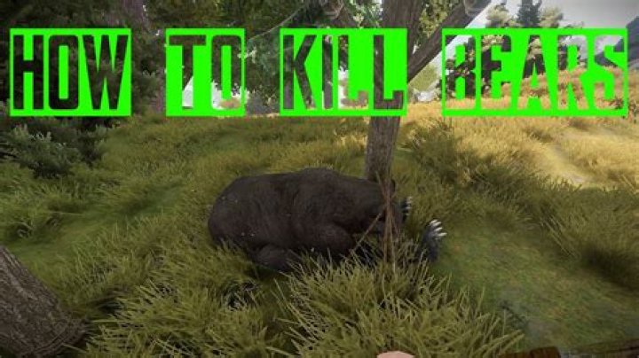 Quick Answer: Rust How To Kill A Bear