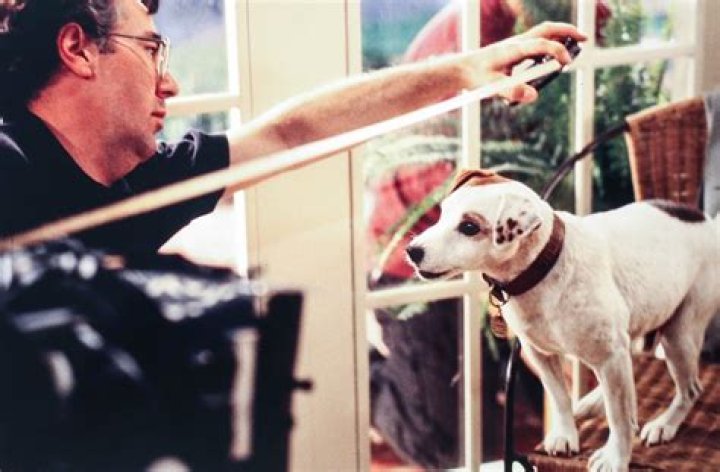 Quick Answer: What Does Wishbone The Dog Look Like