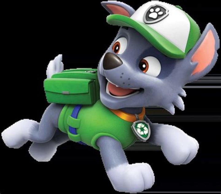 Quick Answer: What Dog Is Rocky From Paw Patrol