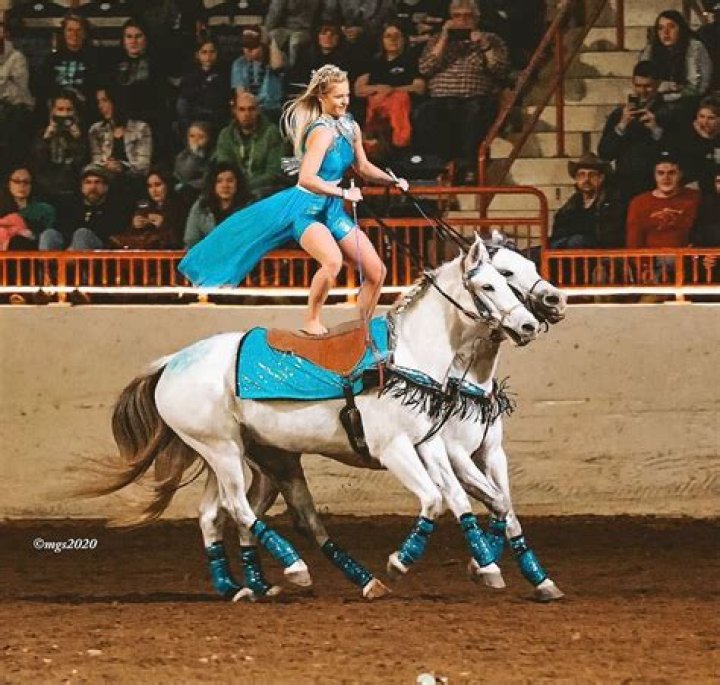 Quick Answer: What Is Roman Riding