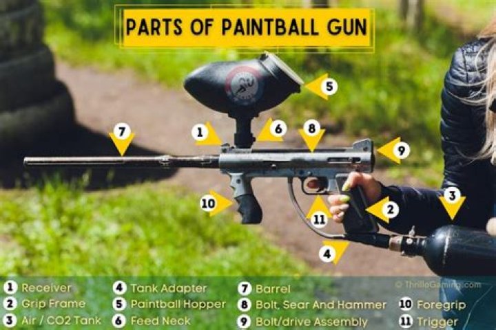 Quick Answer: What Paintball Gun Does Dog The Bounty Hunter Use