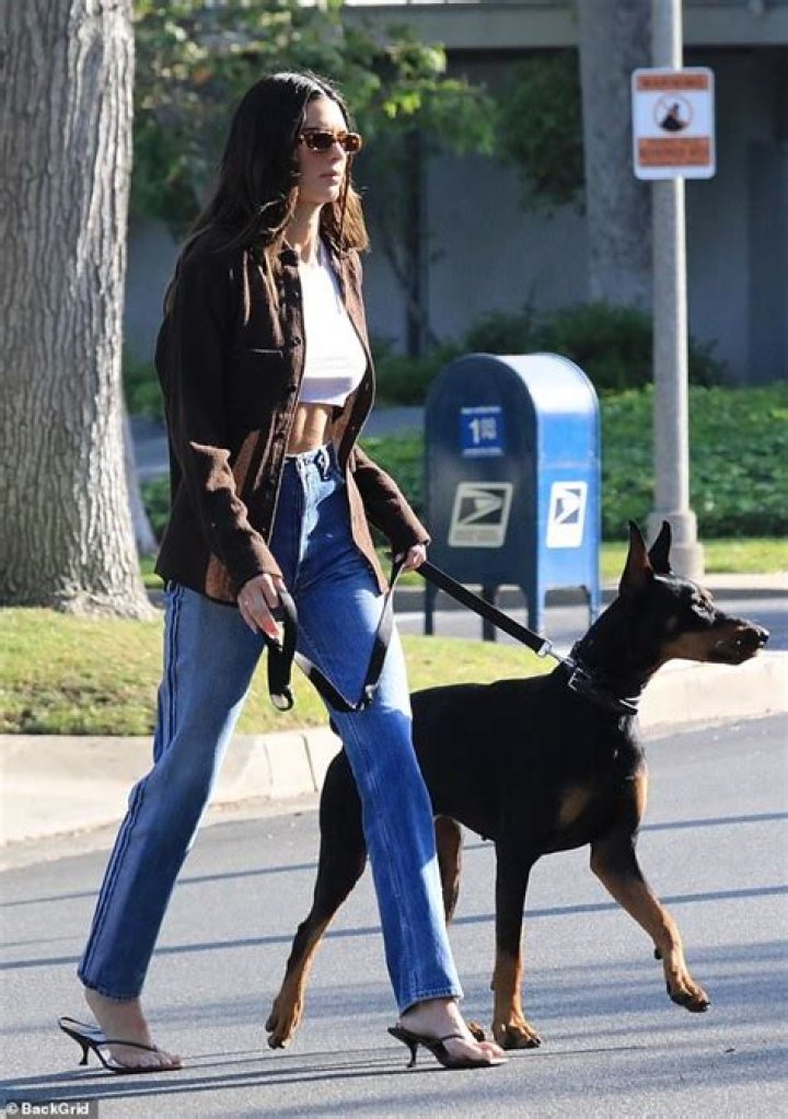Quick Answer: What Type Of Dog Does Kendall Jenner Have