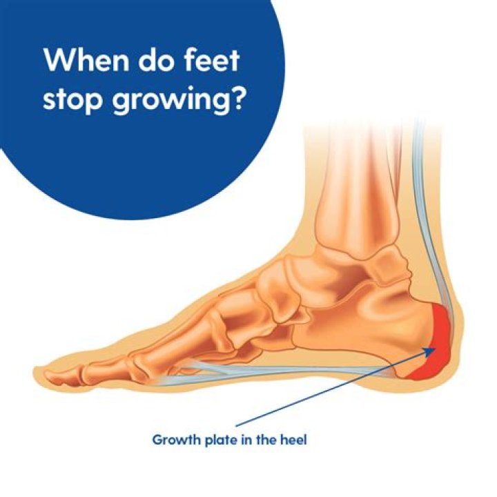 Quick Answer: When Do Men’s Feet Stop Growing