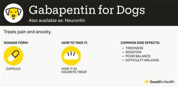 Quick Answer: When Should I Stop Giving My Dog Gabapentin