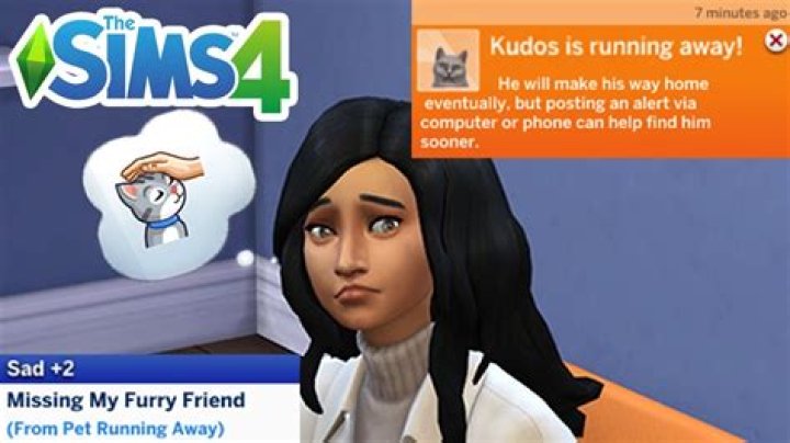 Quick Answer: Why Does My Dog Keep Running Away Sims 4