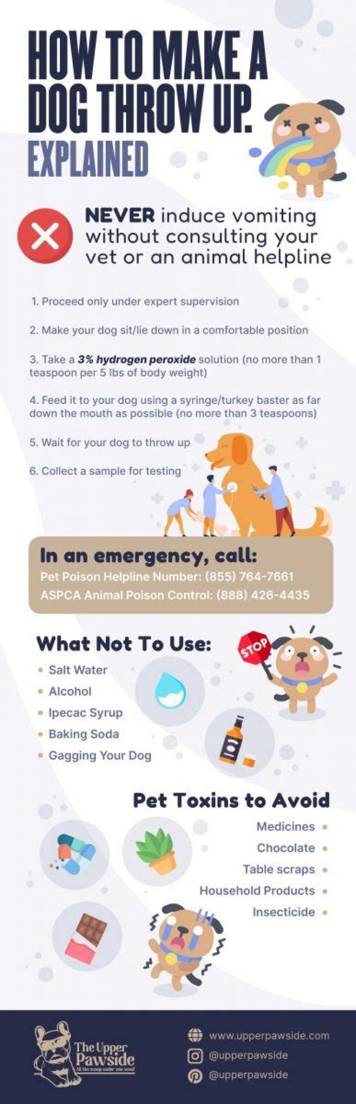Quick Answer: Will Milk Make A Dog Throw Up