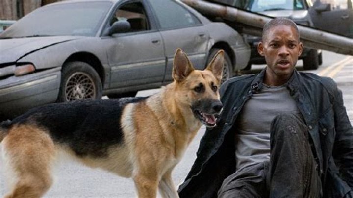 Quick Answer: Will Smith I Am Legend Dog Scene