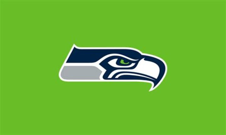 What Are The Seahawk Colors