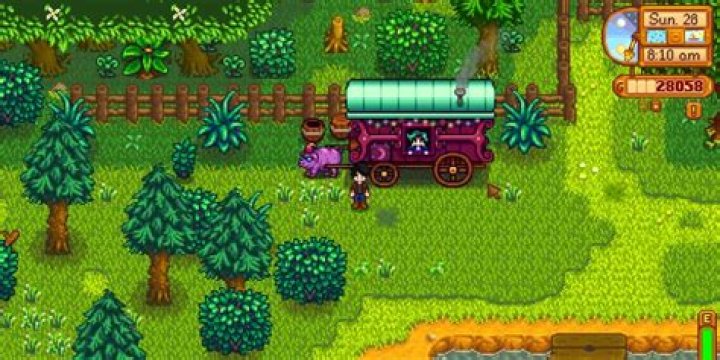 What Days Does The Traveling Salesman Arrive Stardew Valley