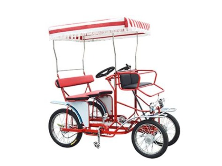 What Is A Surrey Bike