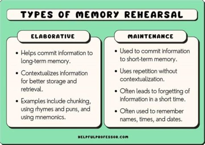 What Is Maintenance Rehearsal As It Relates To Memory