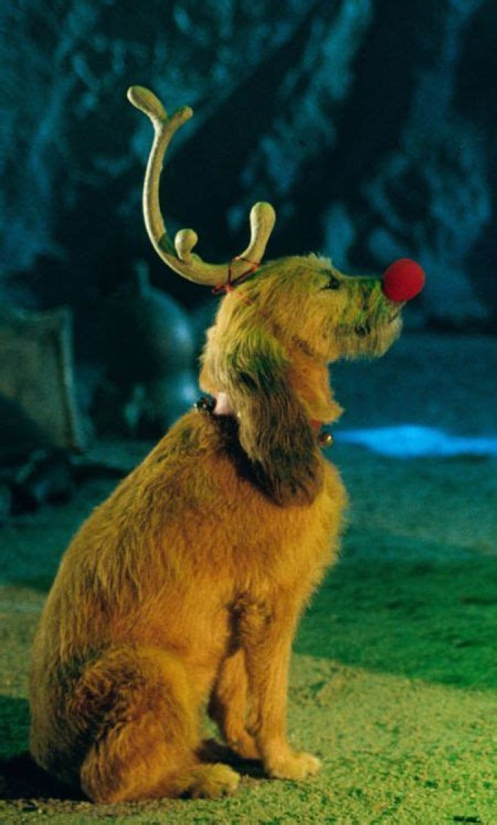 What Is The Grinches Dogs Name