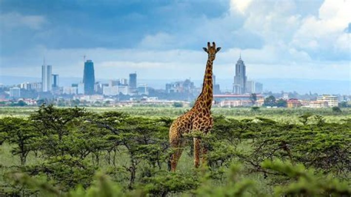 What Time Is It Now In Kenya Nairobi